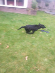 Tommy dolle 5 minuten!
